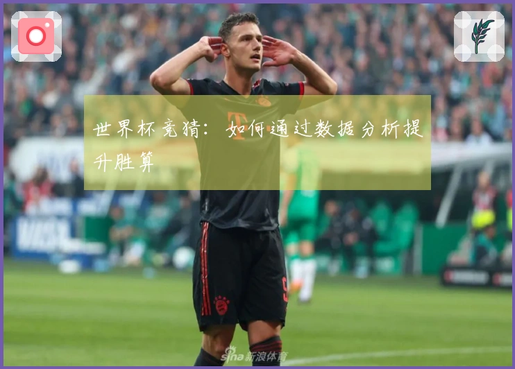 世界杯竞猜：如何通过数据分析提升胜算