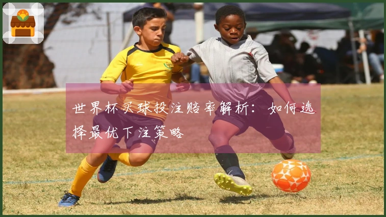 世界杯买球投注赔率解析：如何选择最优下注策略