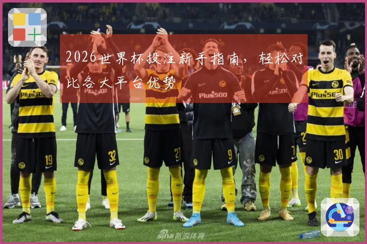 2026世界杯投注新手指南，轻松对比各大平台优势